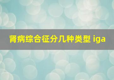 肾病综合征分几种类型 iga